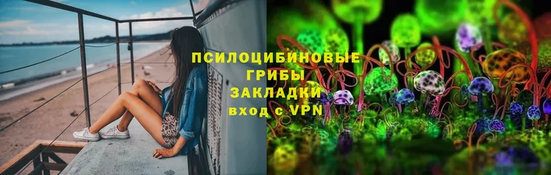 Псилоцибиновые грибы MAGIC MUSHROOMS  где можно купить наркотик  Нижний Новгород 